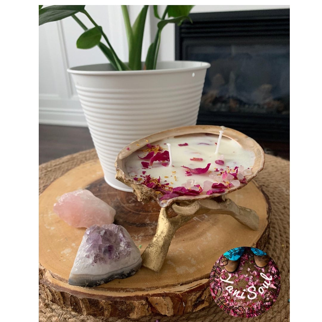 . Yani Soul Abalone Shell Candles Be Transported to a Place of Peace & Serenity